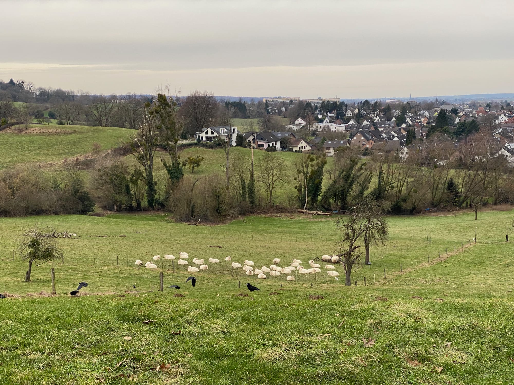 Wochenrückblick: KW5