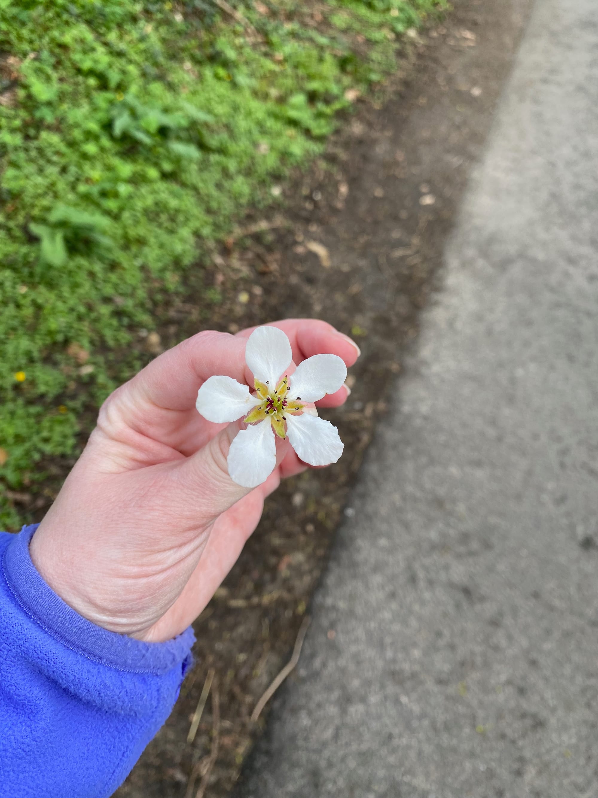 Wochenrückblick: KW 13