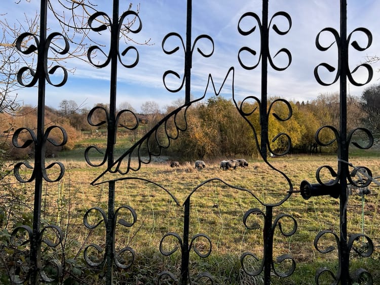 Wochenrückblick KW47