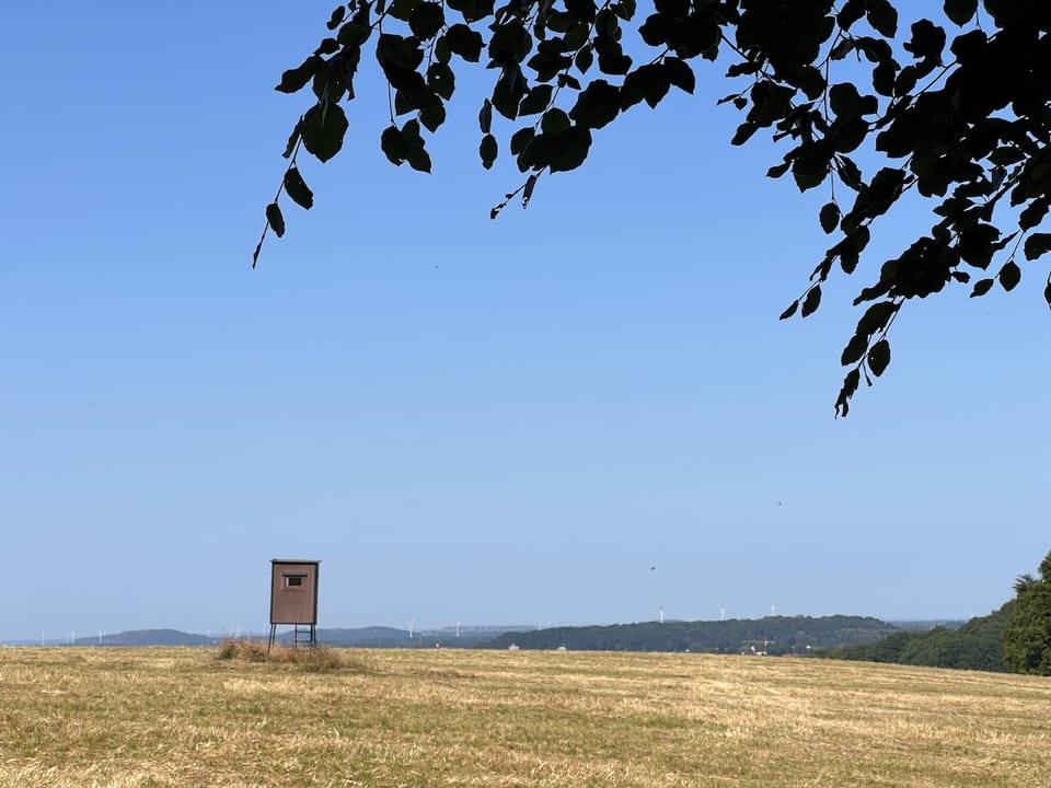 Sonntags Top 7 KW 25