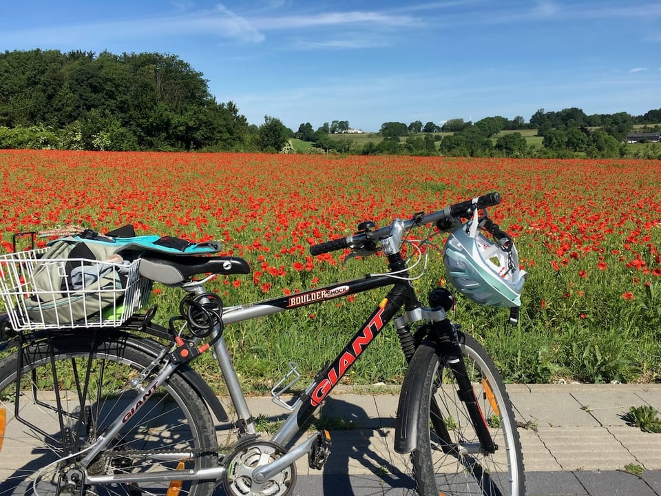 Blogparade #relevant: Fahrrad, Auto oder Bus - wie bewege ich mich fort?