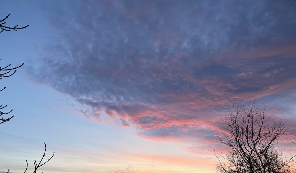 Wochenrückblick KW46