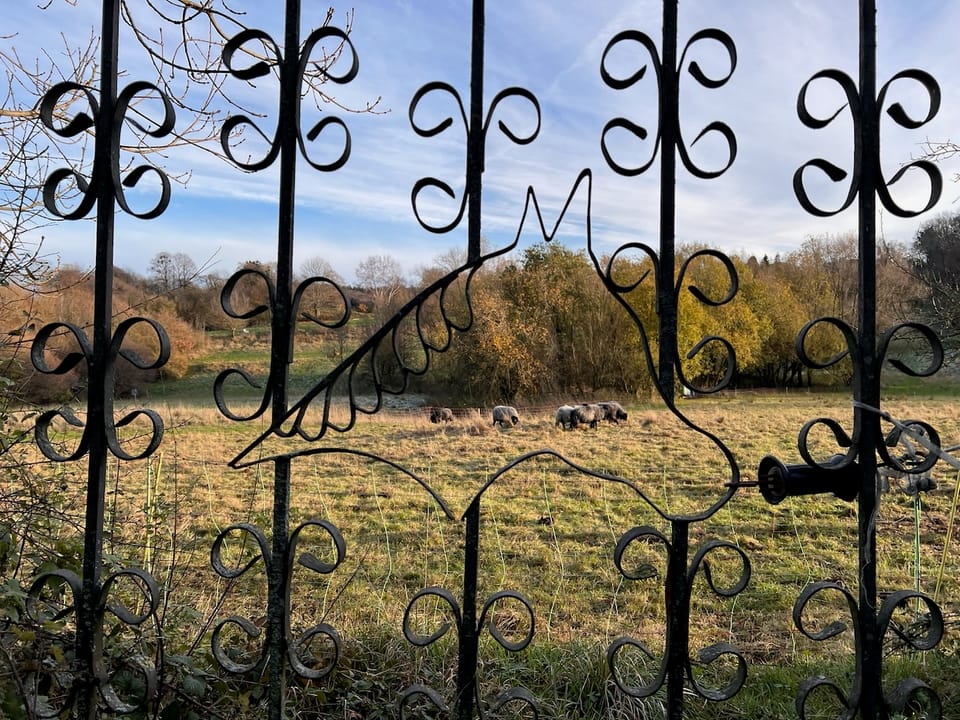 Wochenrückblick KW47